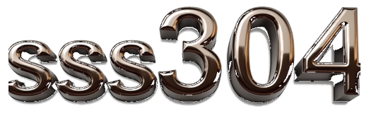 ss304 logo
